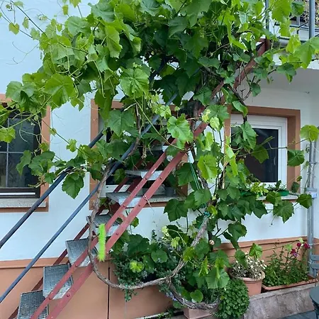 Gastehaus Cheese And Wine Bed & Breakfast